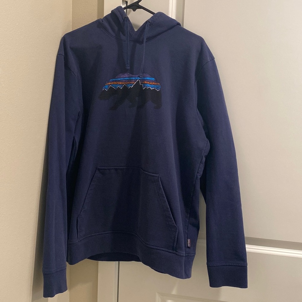 Patagonia Hoodie Men L